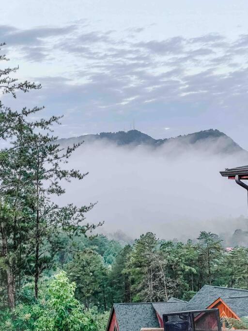 Indoor Heated Pool Hot Tub Cabin Sevierville Exterior photo